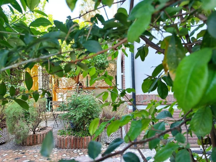 Casa Limonero Con Parking Gratis Junto A Centro Historico Villa Granada Buitenkant foto