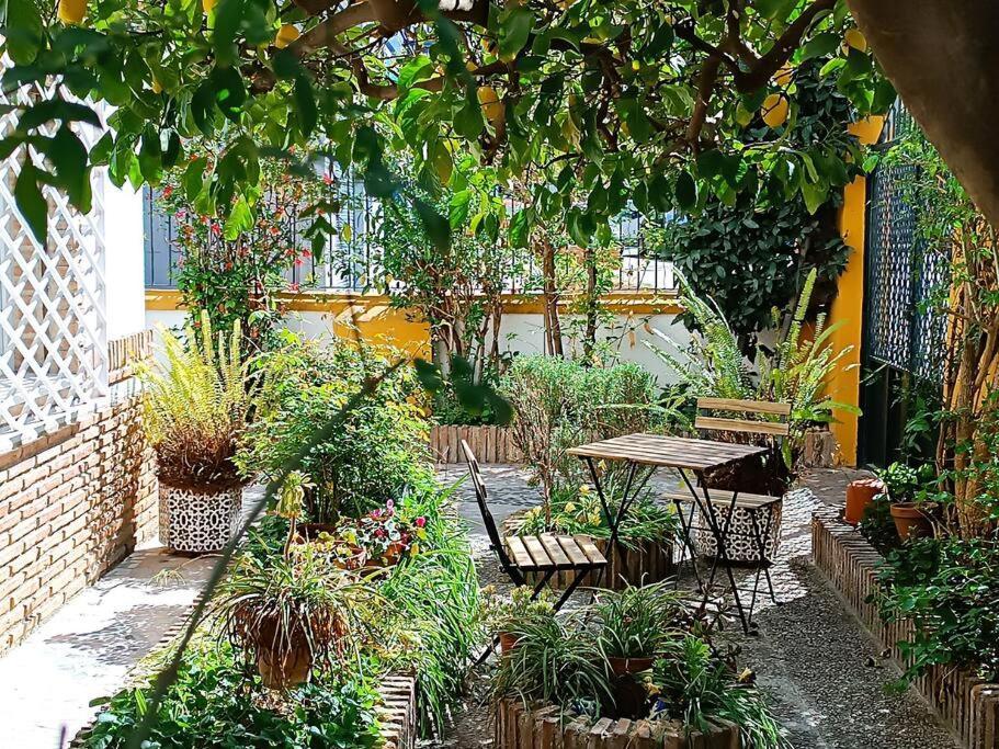 Casa Limonero Con Parking Gratis Junto A Centro Historico Villa Granada Buitenkant foto