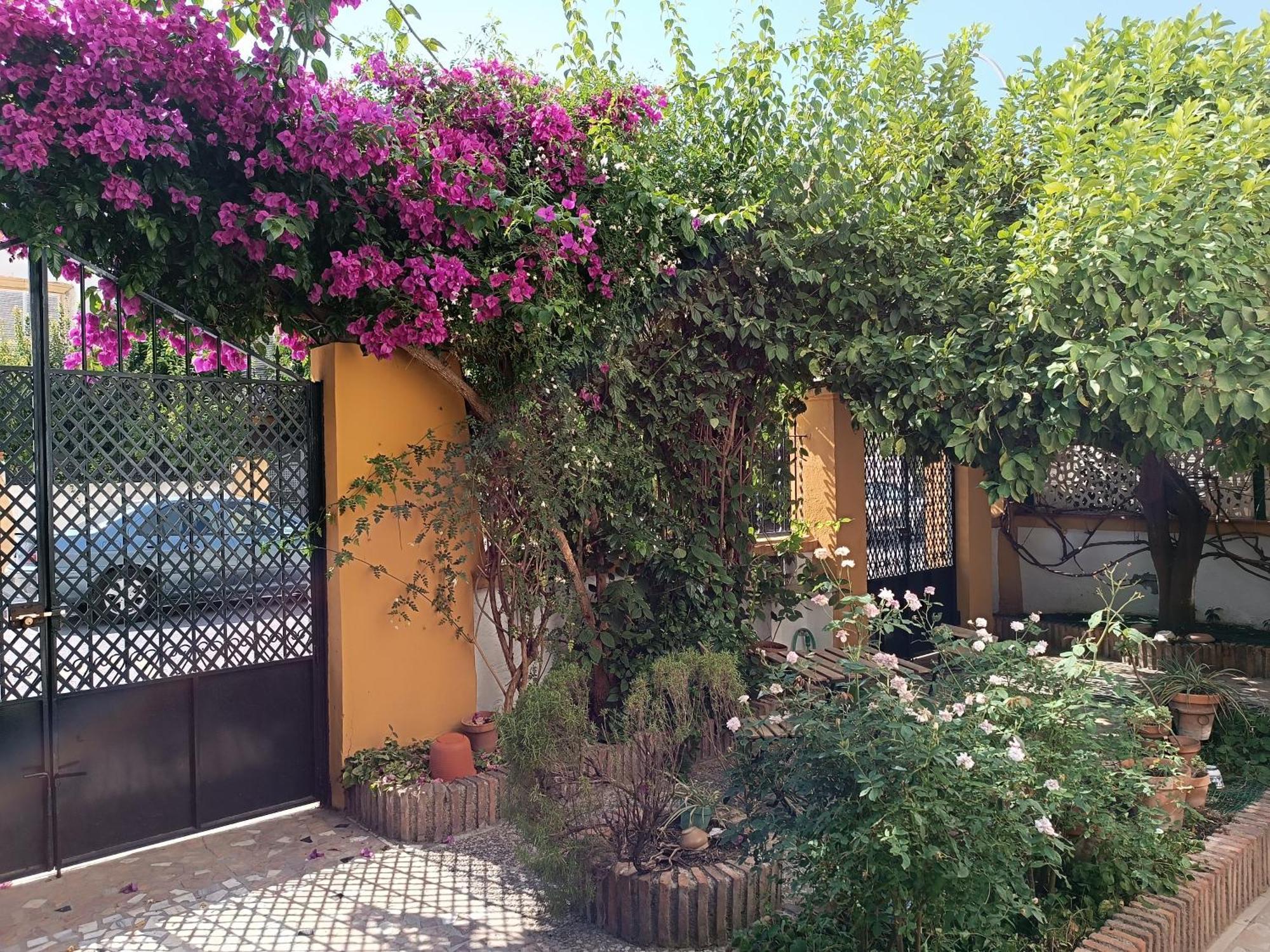 Casa Limonero Con Parking Gratis Junto A Centro Historico Villa Granada Buitenkant foto